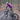 Rider´s Bundle